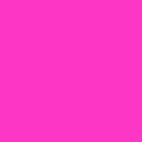 solid colour pink rose